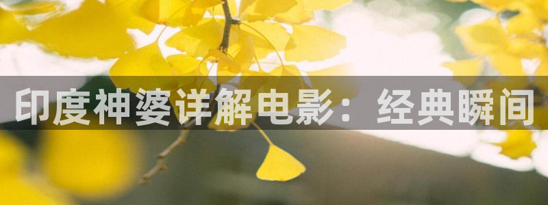 琪琪电影西瓜