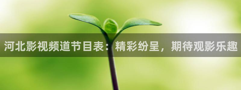 西瓜视频影视