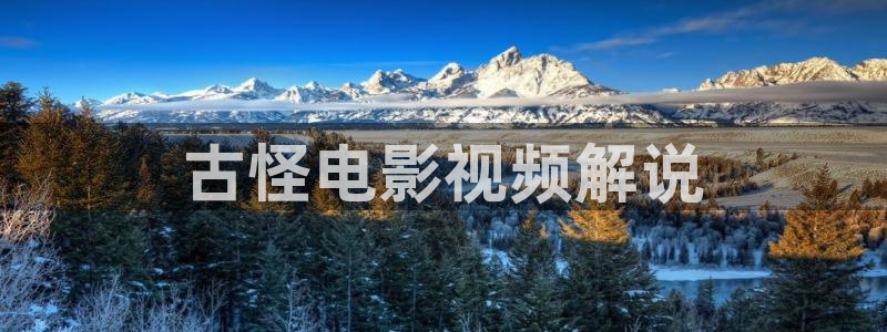 勇敢的心免费观看西瓜：古怪电影视频解说