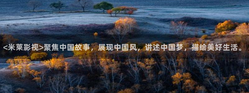 西瓜视大
