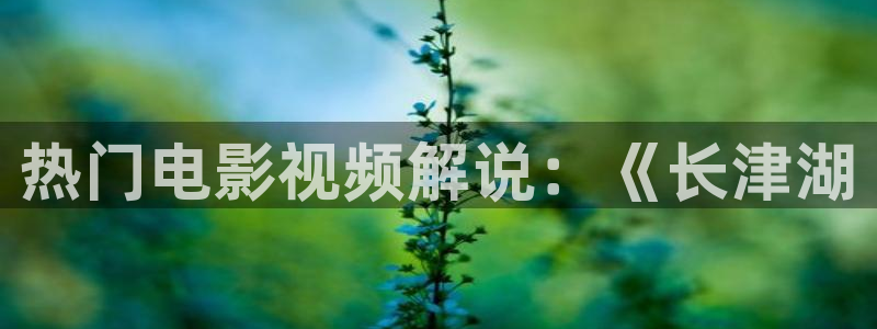 西瓜在线观看免费：热门电影视频解说：《长津湖