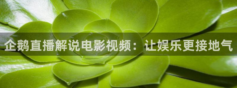 西瓜视频免费在线
