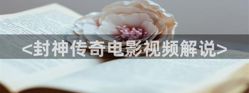 电视剧追球全集免费观看西瓜