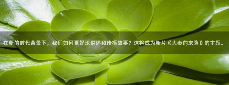 电视剧念念免费观看西瓜